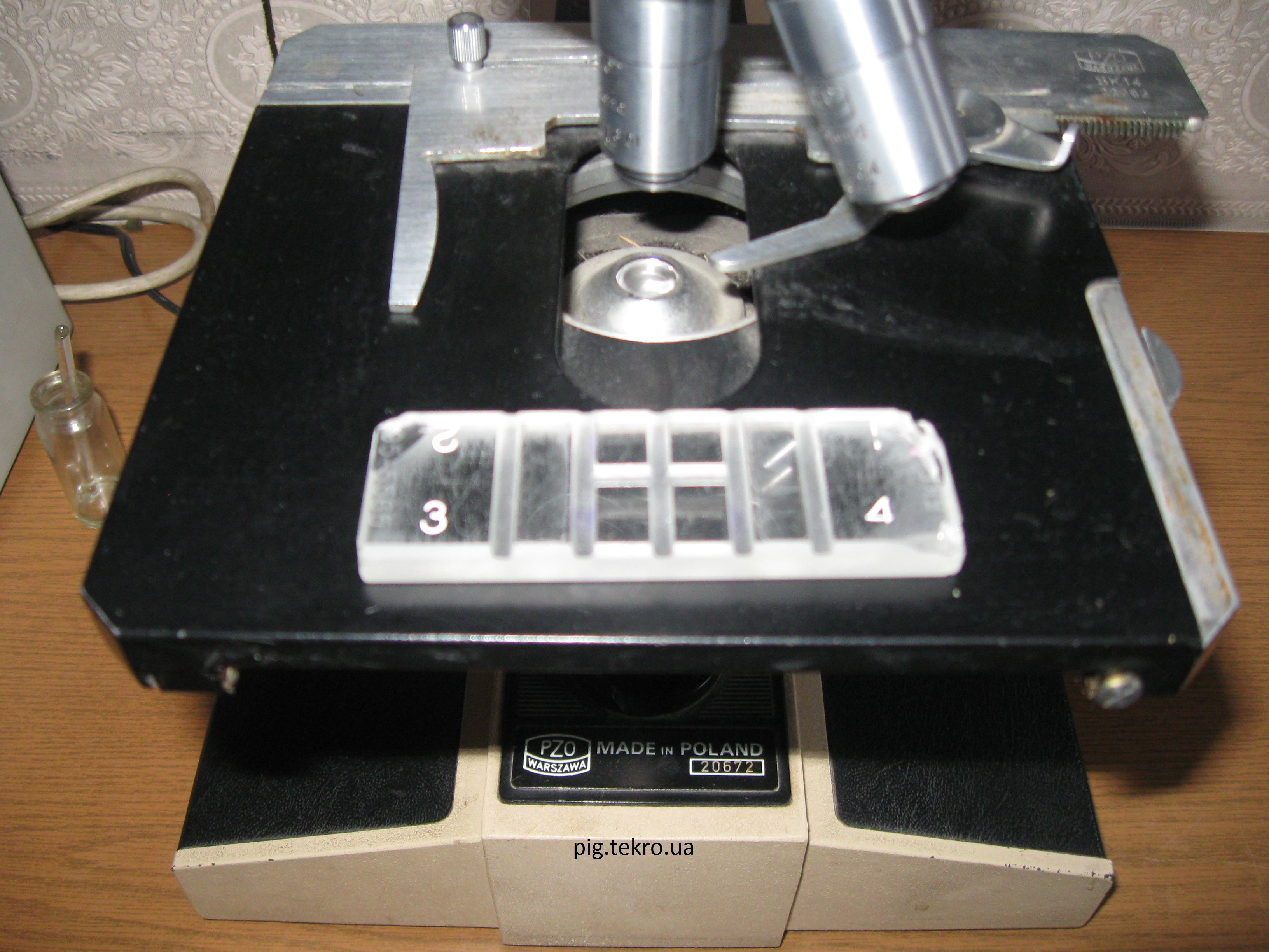 Sіtka z kameroju Gorjaєva na predmetnomu stoliku mіkroskopa
